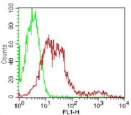 Monoclonal Antibody to CD24 (Clone: 32D12) FITC Conjugated
